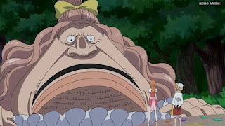 ワンピースアニメ WCI編 796話 ビッグマムの夫 パウンド Pound | ONE PIECE Episode 796