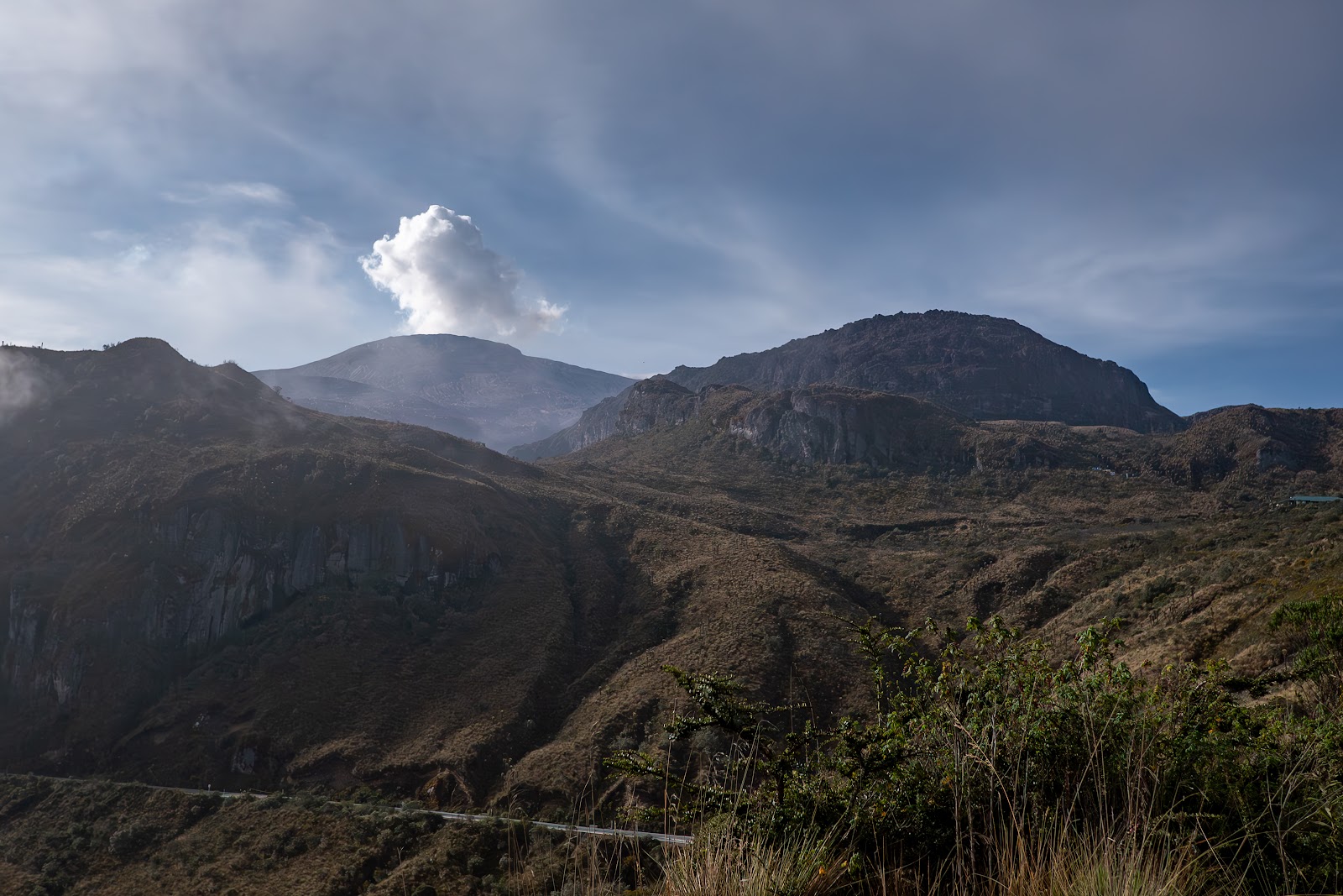 Día 15: Paque Nacional Los Nevados - Colombia y Curazao: Pajareo, Amazonas y Caribe (4)