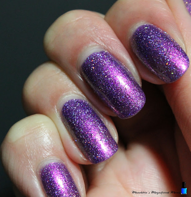 Holo Taco Birthstone Collection- Crystal Mommy- February