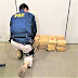 Unidade da PRF em SAJ apreende quase 80 Kg de cocaína encontrado na BR-101