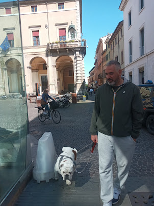 Saw the maximum number of pedigree dogs in Rimini.