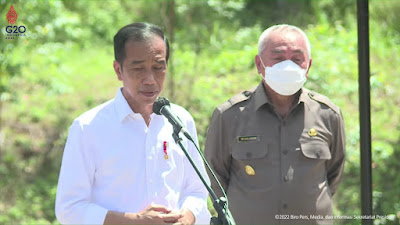 34 Gubernur, Jokowi Minta Kolaborasi Pembangunan IKN Nusantara