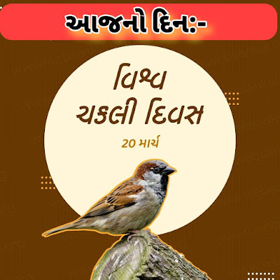 World Sparrow Day 2022