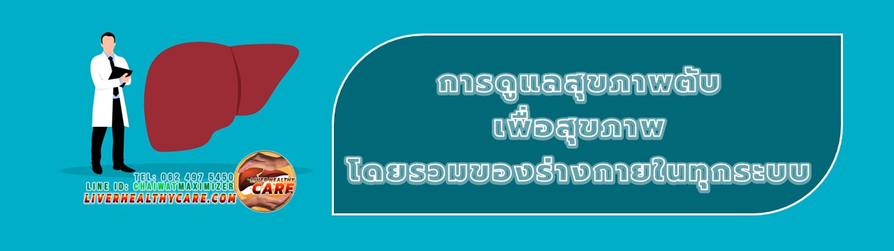 Liver Healthy Care การดูแลสุขภาพตับ อาหาร เสริม บำรุง ดูแล ตับ ไขมันพอกตับ ตับแข็ง ตับอักเสบ