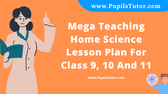Free Download PDF Of Mega Teaching  Home Science Lesson Plan For Class 9, 10 And 11 On How To Preserve Food Topic For B.Ed 1st 2nd Year/Sem, DELED, BTC, M.Ed In English. - www.pupilstutor.com