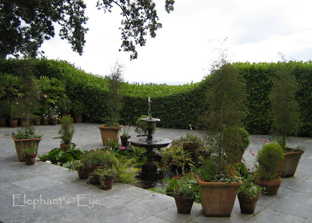 Hedge carefully trained to frame the view at Heligan