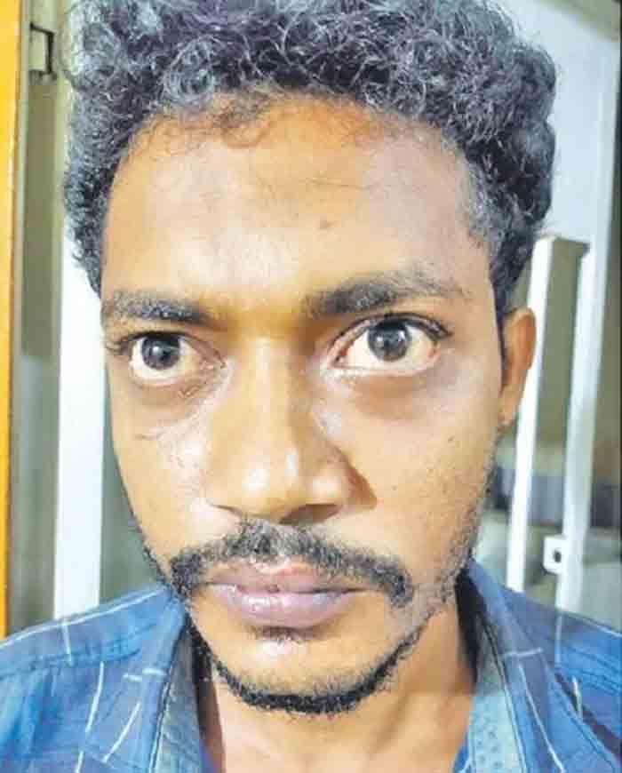 Man arrested for assaulting woman, Kollam, News, Local News, Assault, Police, Arrested, Court, Remanded, Kerala