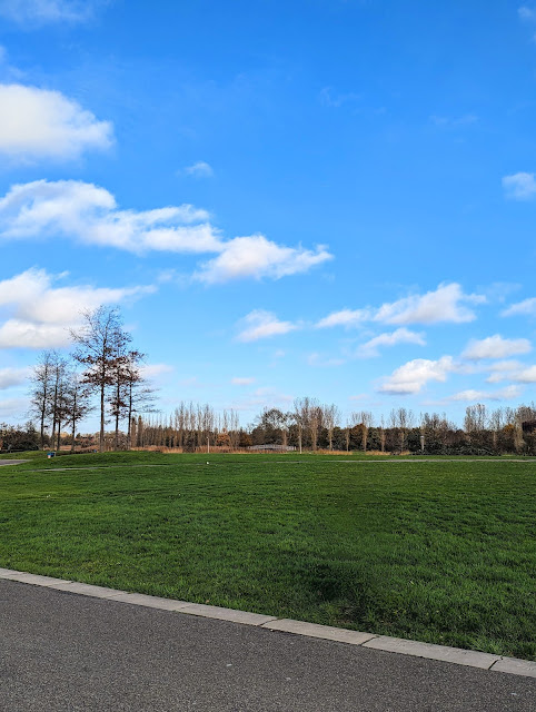 Een foto van hetzelfde park als eerder, maar dan zonder de prullenbak, omdat die is verwijderd met de Magische Gum van Google Pixel.