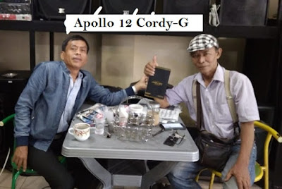 Jual Produk Kesehatan Apollo 12 Cordy-G di Wedani Cerme Gresik Hub 081315203378