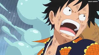 ワンピースアニメ ドレスローザ編 724話 ルフィ Monkey D. Luffy | ONE PIECE Episode 724