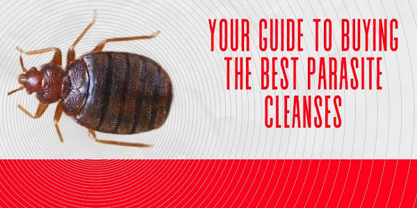 Your Guide To Buying The Best Parasite Cleanses 2021