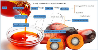 palm oil making process
