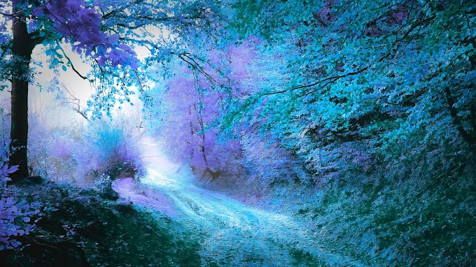 Most Beautiful Natural Landscapes In The World