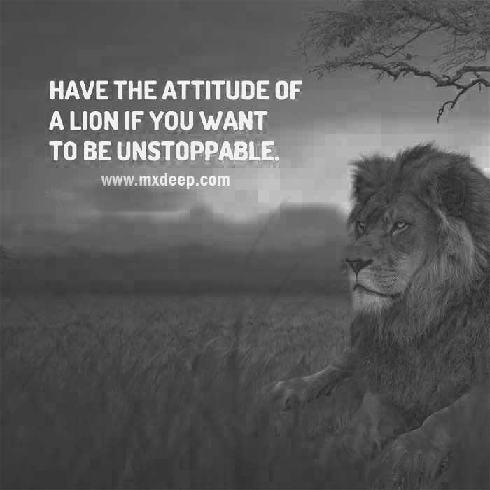 Related searches inimagetitle: Image of Brave lion quotes Brave lion quotes lion quotes for strong life lion motivational quotes in hindi attitude powerful lion quotes lion roar quotes wounded lion quotes lion quotes in hindi lion quotes love