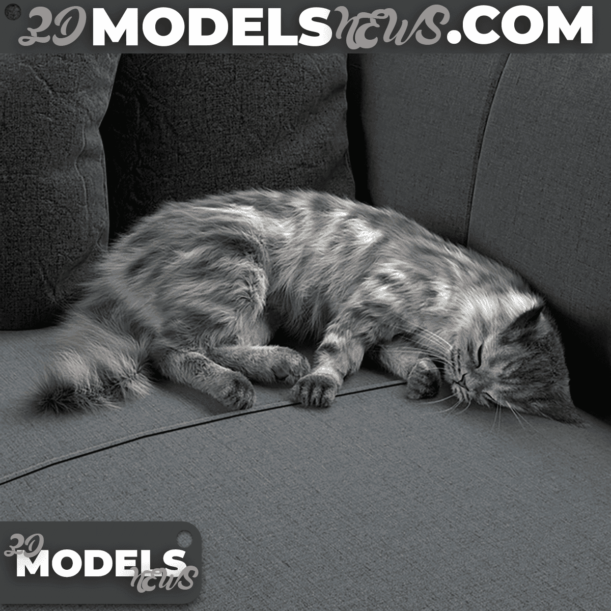 Sleeping Cat Model 3