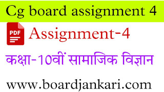 cg board assignment 4 class 10th social science solution