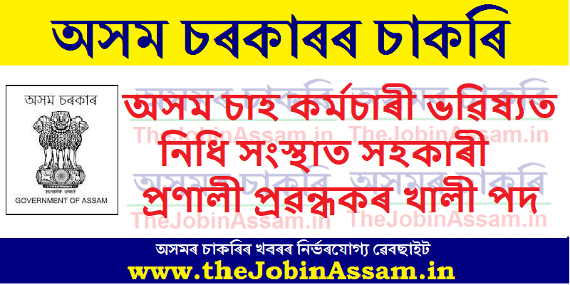 Assistant System Manager Vacancy in Assam Tea Employees Provident Fund Organization