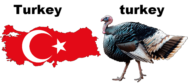 «Турция» и «индейка»