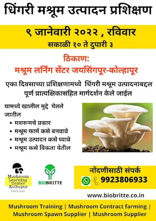 One Day Oyster Mushroom Training