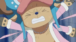 ワンピースアニメ ゾウ編 766話 チョッパー 可愛い | ONE PIECE Episode 766