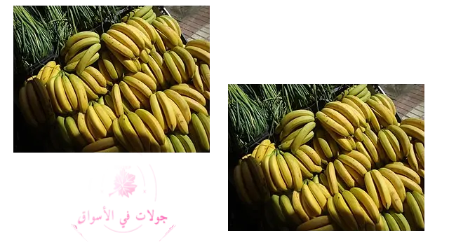 الموز البلدي