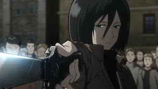 Mikasa Ackerman - Attack on Titan