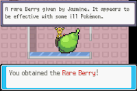 Rare Berry