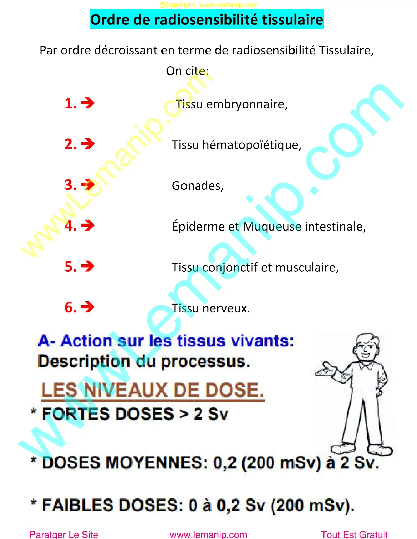 radiosensibilité tissulaire