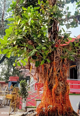 हरसिद्धि माता मंदिर उज्जैन - Harsiddhi Mandir Ujjain