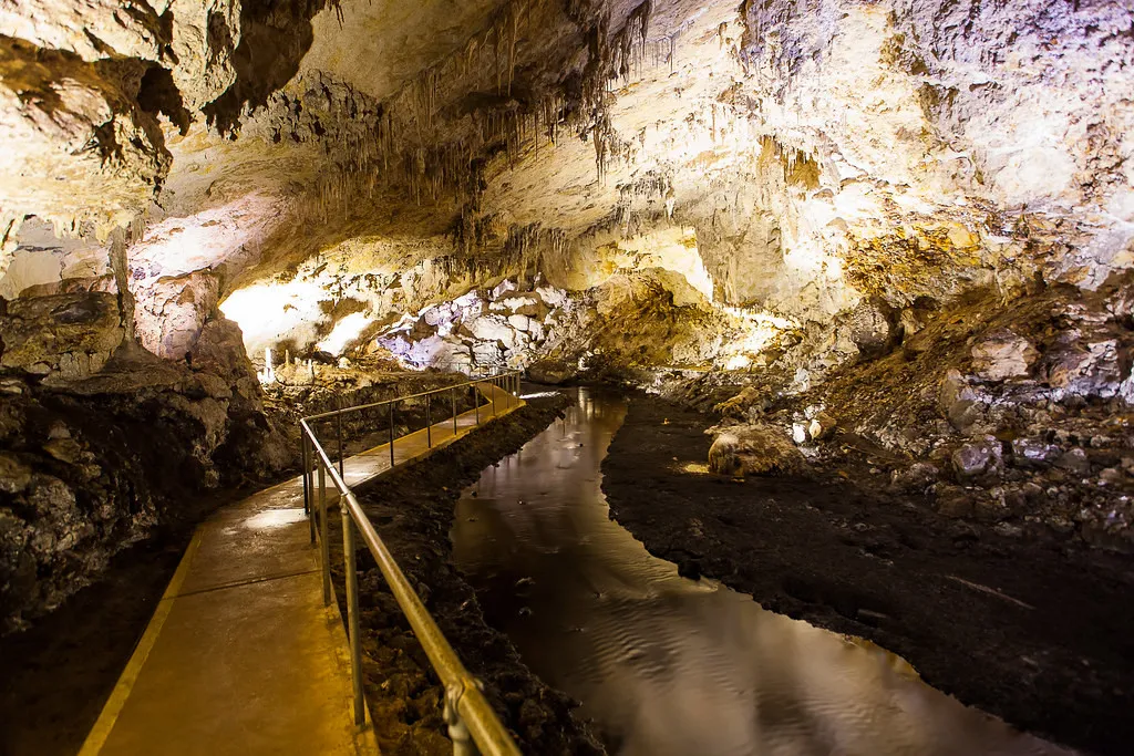 Mammoth Cave National Park