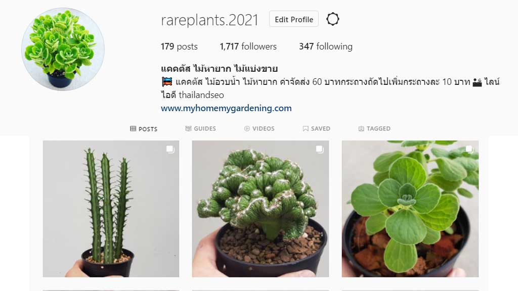 Instagram Plants