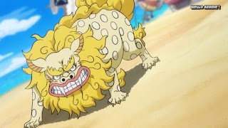 ワンピースアニメ 893話 ワノ国編 | ONE PIECE