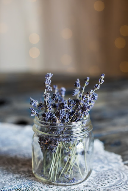 dried lavender stems in vase