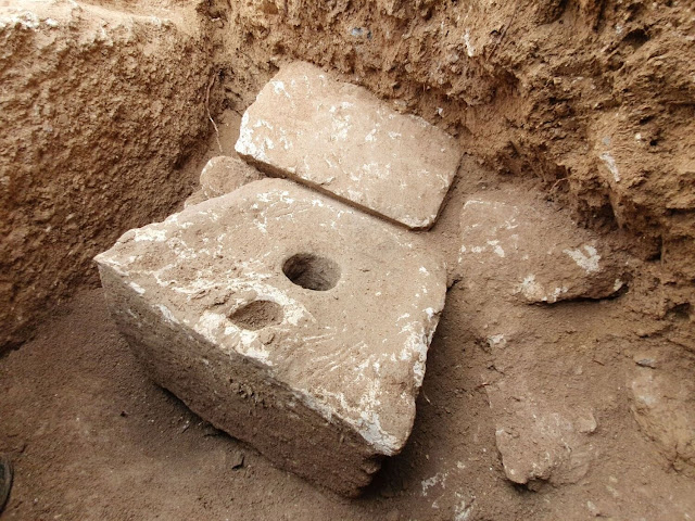 Toilet of First Temple period luxury villa reveals Jerusalem elite suffered from infectious disease