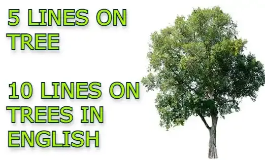 5 Lines on Tree | 10 Lines on trees in English