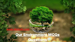 Our Environment MCQs