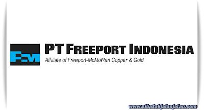 pt freeport indonesia