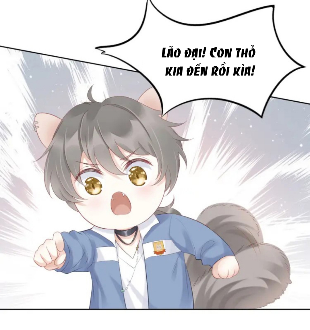 Đọc truyện Một Ngụm Ăn Cả Thỏ Con - Chapter 2