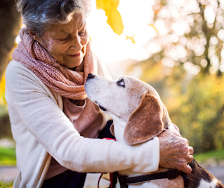 Older lady embracing an old Beagle dog who is looking up to her