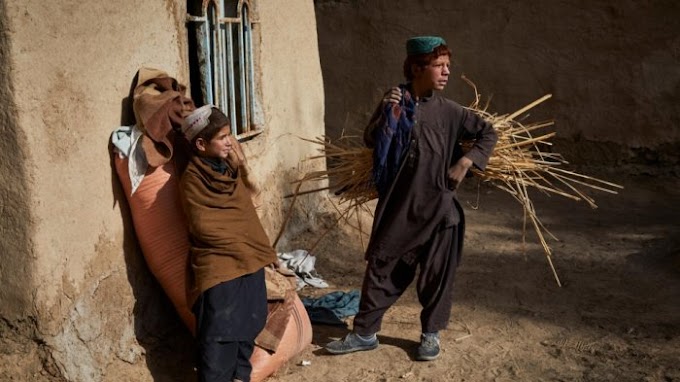 Famílias  afegãs deslocadas voltam à destruição e à fome em Helmand