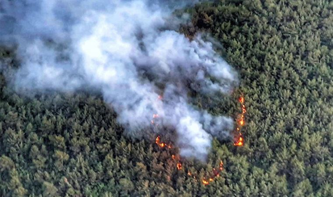 İzmir'in Balçova ilçesindeki ormanlık alanda yangın çıktı. Yangına havadan ve karadan müdahale ediliyor.