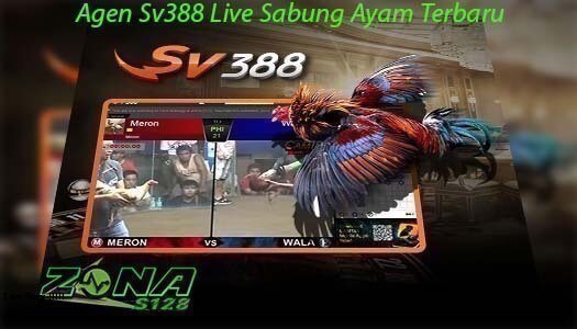 Situs Sabung Ayam Sv388 Terbaik Live | Agen Sv388 Terpercaya