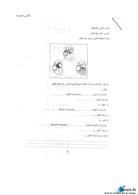 تحميل فرض مراقبة 3 علوم الحياة و الأرض سنة تاسعة مع الاصلاح pdf 9svt سنة 9, تمارين علوم الحياة و الأرض svt تاسعة مع الإصلاح موقع مسار التميز 9ème