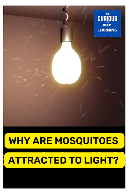 Why are mosquitoes attracted to light source