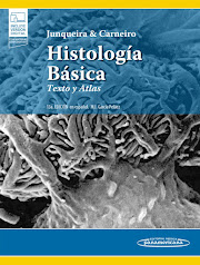 HISTOLOGÍA BÁSICA. TEXTO Y ATLAS. L.C.Junqueira,José Carneiro