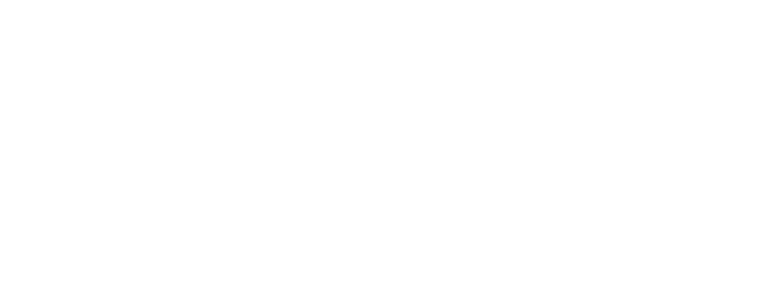 FLI - Fusion Leather Intertek Vietnam