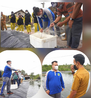 Bupati Lingga Bersama Ketua DPRD Lingga  hadir di panen Budidaya udang Vanamei Desa resang  kecamatan Singkep selatan