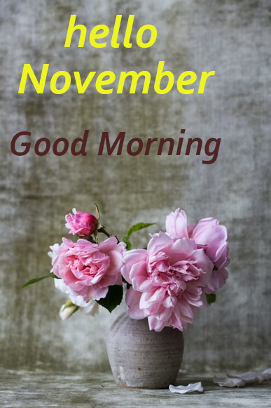 Good  Morning  Happy   November