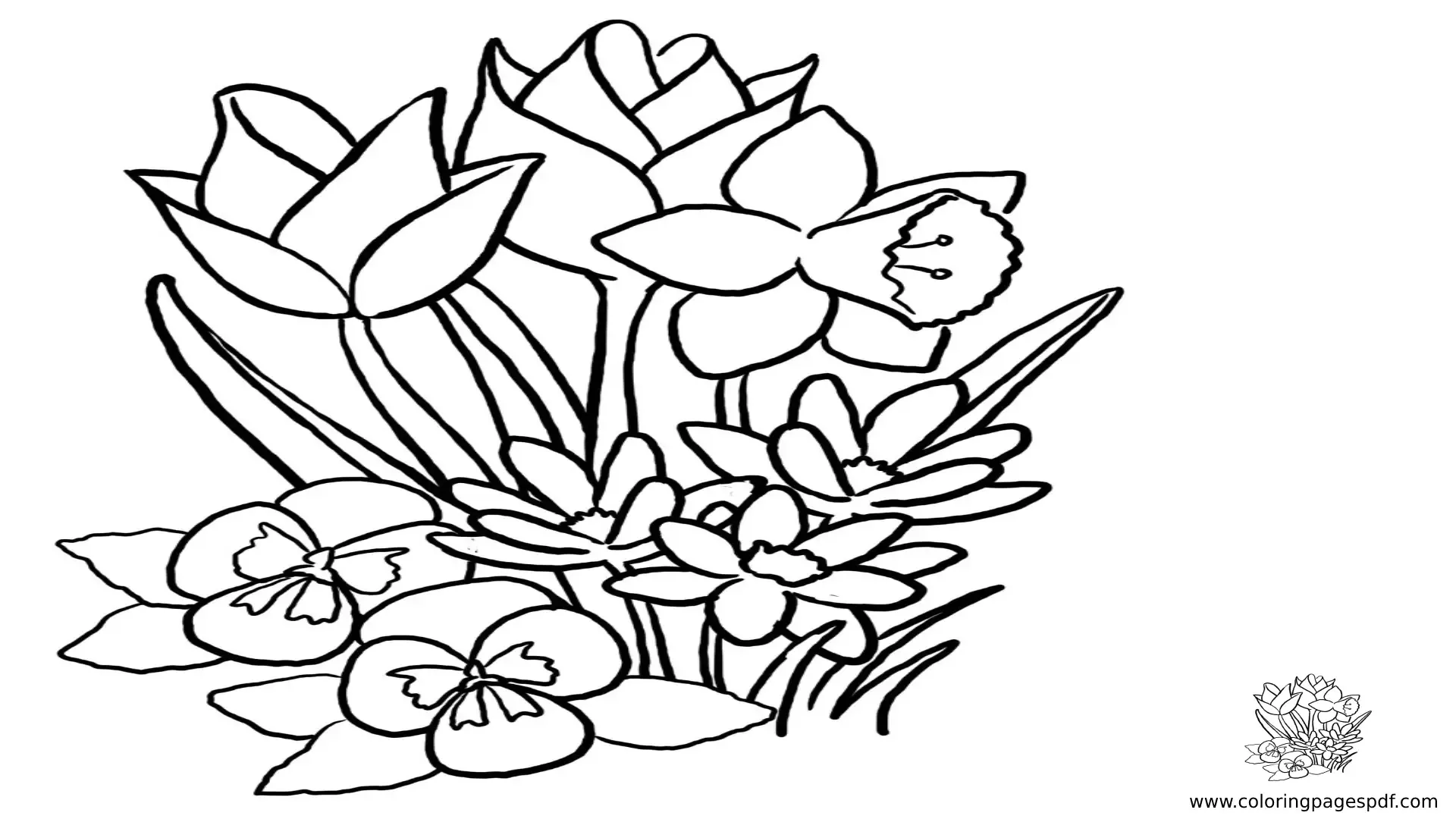 Coloring Pages Of Amazing Spring Flowers