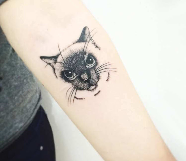 Tatuagens femininas de gatos - 40 fotos e modelos para se inspirar